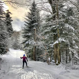 Historic Hotel La Stüa 4★ · Cavalese, Val di Fiemme